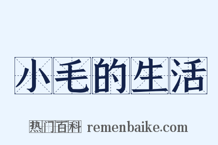 小毛的生活是什么意思的图片